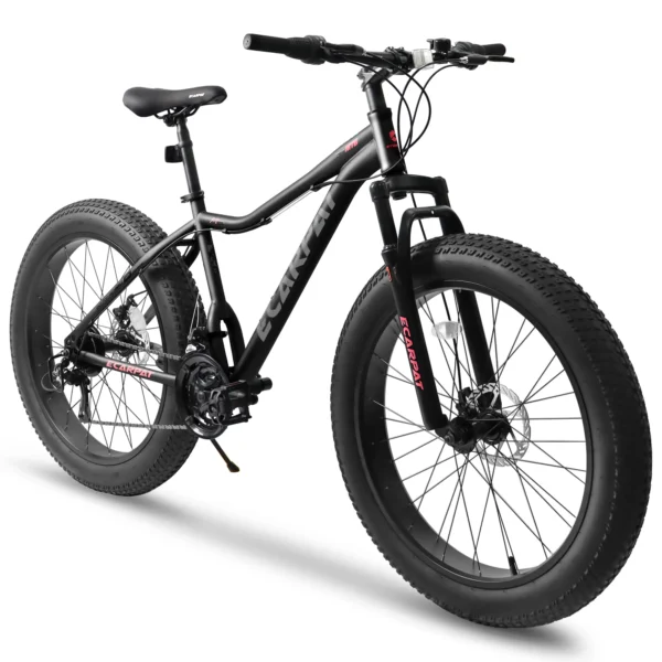 Hiland 20 Inch Kids' Bike Fat Tire Mountain Bike for Boys and Girls, Shimano 7-Speed, Dual-Disc Brake,Beach and Snow Bicycle